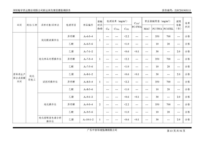 _深圳九游老哥J9俱乐部药业股份有限公司南山定期检测报告_页面_13