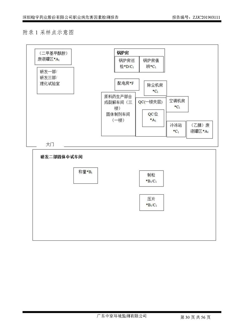 _深圳九游老哥J9俱乐部药业股份有限公司南山定期检测报告_页面_30